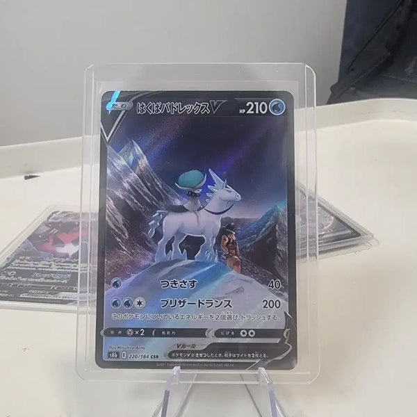 [BUNJANG] CoroCoro Rex (Japanese) CSR Trading Card / 백마 버드렉스 csr 일어판
