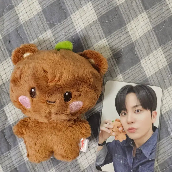 [BUNJANG] ATEEZ Jongho Tiny Animates Plush Doll Jjongbear / 에이티즈 종호 타이니 애니티즈 인형 쫑베어