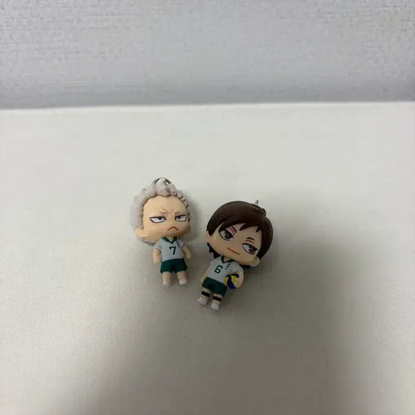 [BUNJANG] Haikyu!! Karasuno High School Date Tech Duo / 하이큐 카레고레 다테공고