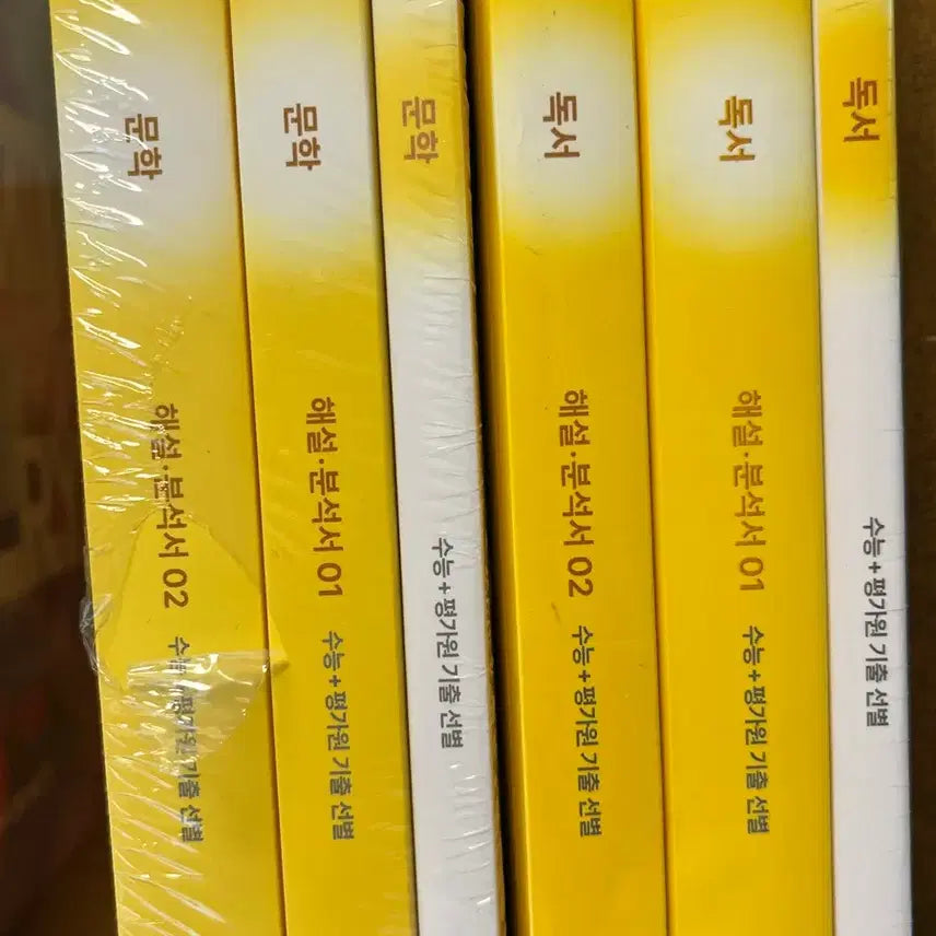 [BUNJANG] Sideline Korean Reading Comprehension and Literature Past Papers / 시대인재 국어 독서,문학 기출문제집
