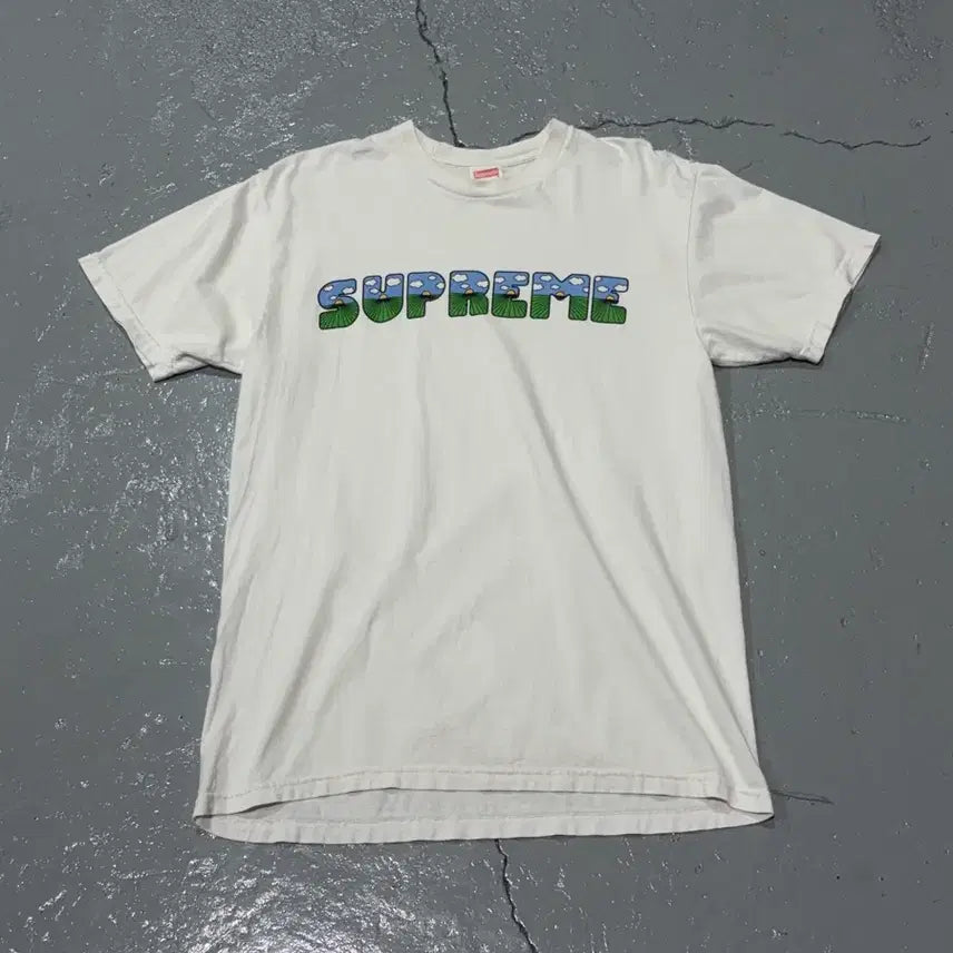 [BUNJANG] Supreme The Shit Tee White T-Shirt L / 16SS 슈프림(Supreme) The Shit Tee