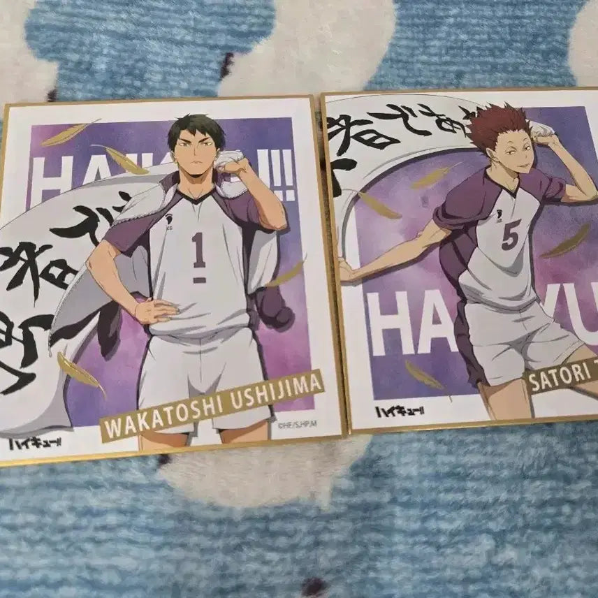 [BUNJANG] Haikyuu!! Ushijima Wakatoshi & Tendo Satori Banner Shikishi Bundle Set / 하이큐 현수막 색지 우시지마,텐도 일괄