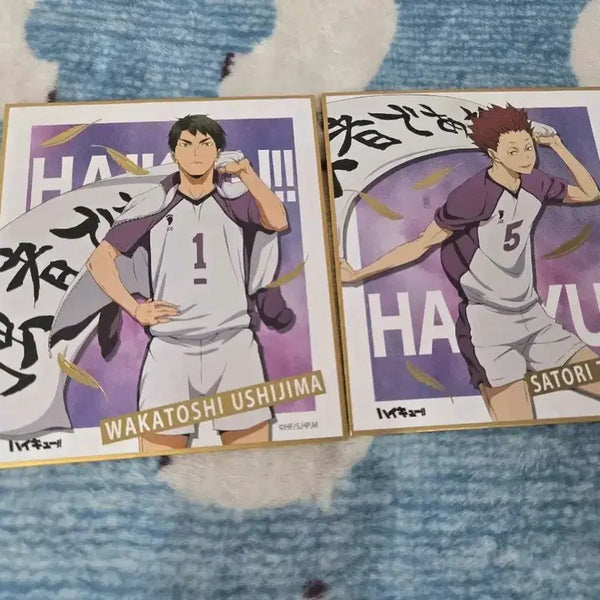 [BUNJANG] Haikyuu!! Ushijima Wakatoshi & Tendo Satori Banner Shikishi Bundle Set / 하이큐 현수막 색지 우시지마,텐도 일괄