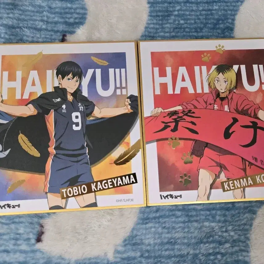 [BUNJANG] Haikyuu!! Banner Shikishi Set - Kageyama & Kenma Setter Bundle / 하이큐 현수막 색지 카게야마,켄마 세터일괄 (일괄)