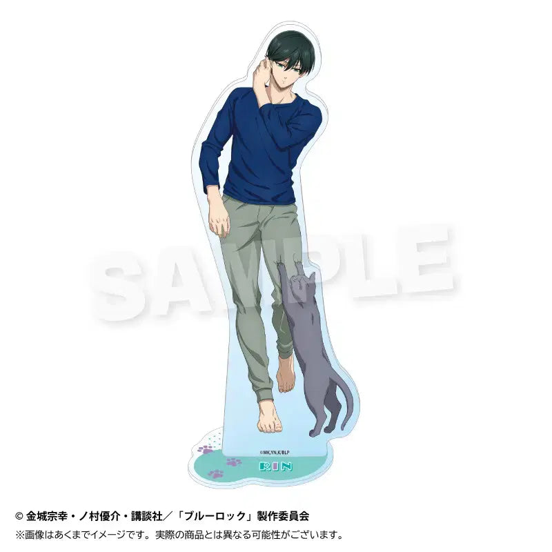 [BUNJANG] Blue Lock Itoshi Rin Play with Cat Ver. Acrylic Stand / 블루 록 아크릴 스탠드 고양이와 놀이 Ver - 이토시 린