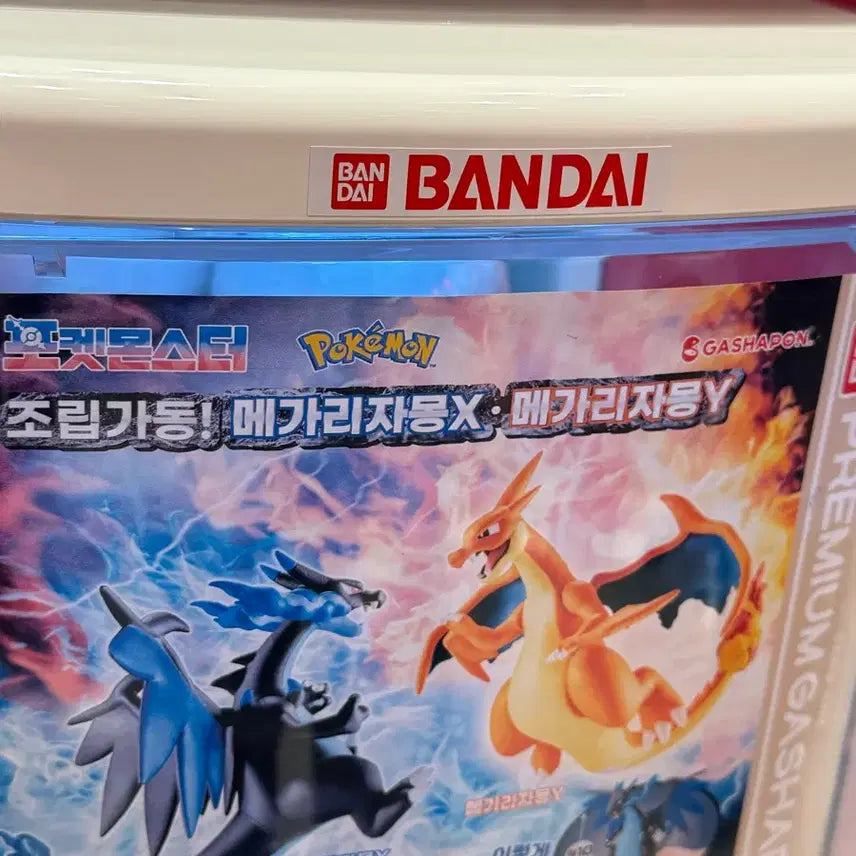 [BUNJANG] Bandai Pokémon Mega Charizard Y Figure / 반다이 포켓몬스터 메가 리자몽 피규어 Y