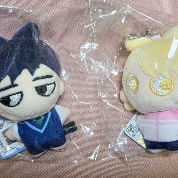 [BUNJANG] House No More Baek Eun-young Go Hae-jun Plushie Doll Keychain Set / 집이없어 백은영 고해준 인형 누이 키링