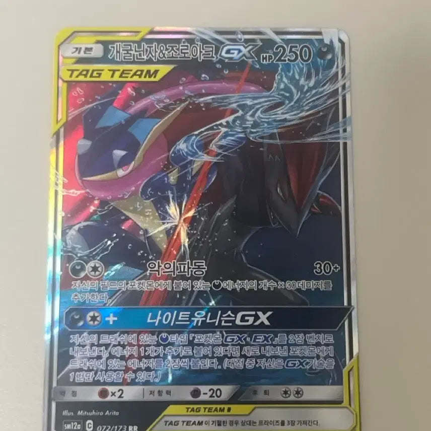[BUNJANG] Greninja Zoroark Tag Team / 개굴닌자 조로아크 태그팀
