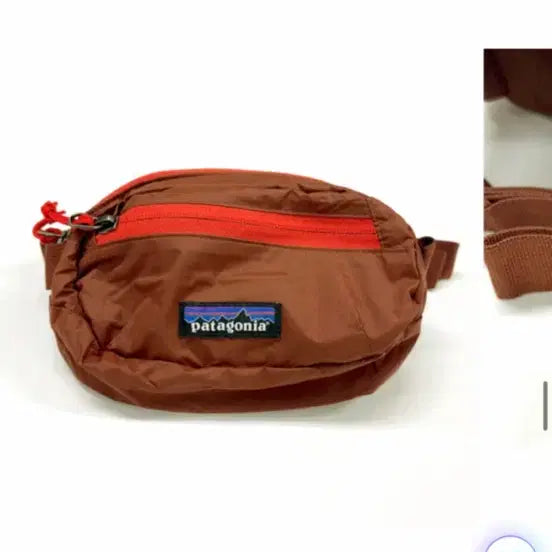 [BUNJANG] Patagonia Mini Hip Pack Terra Biya DVL / 파타고니아 미니힙팩 테라비아 DVL