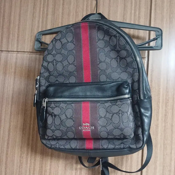 [BUNJANG] Coach Varsity Small Backpack / 코치 바시티 스몰 백팩