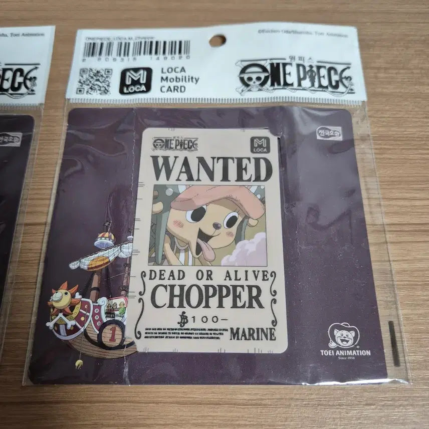 [BUNJANG] One Piece Chopper Transportation Card / 원피스 쵸파 교통카드