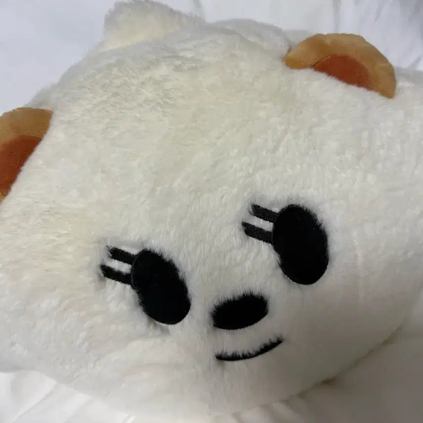 [BUNJANG] BamGut Face Cushion / 밤긋 페이스 쿠션