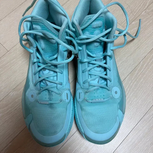 [BUNJANG] Way of Wade 10 Mint Basketball Shoes (Size 290) / Way of wade 10 민트 290