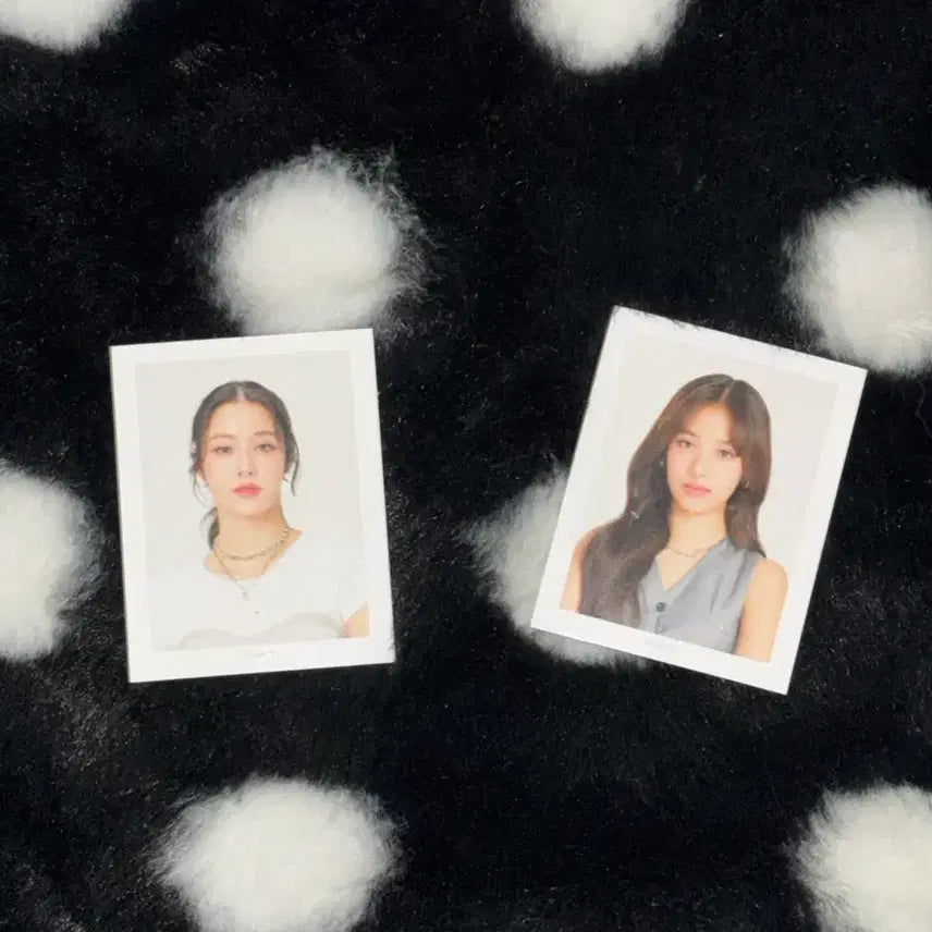 [BUNJANG] Namtanfilm Official Photocard / namtanfilm 남딴필름 공식 증사 판매 gmmtv