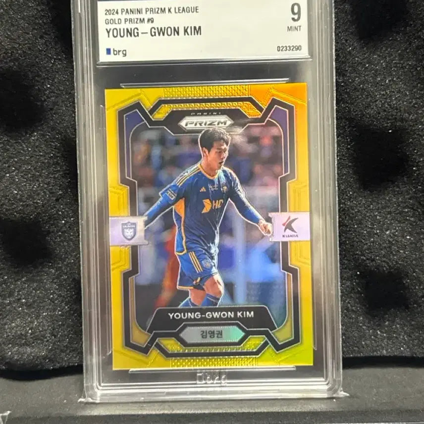 [BUNJANG] 2024 Panini K League Kim Young-gwon Gold Prism Card / 2024 파니니 K리그 골드프리즘 울산HD 김영권
