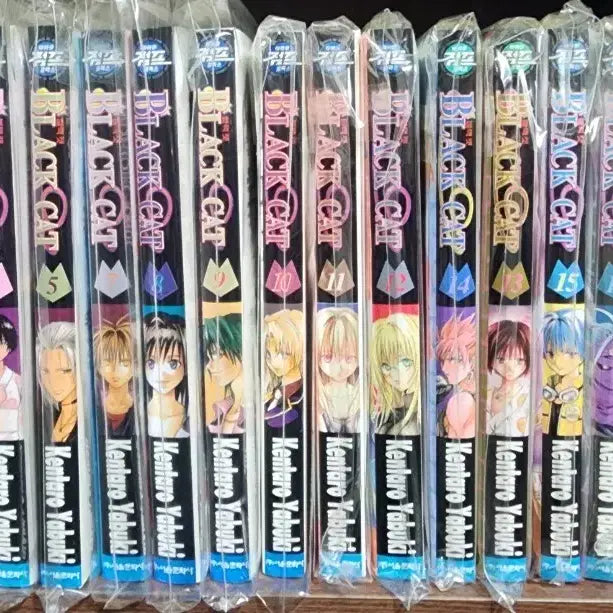 [BUNJANG] Black Cat Complete Manga Set (Volumes 1-20) / 만화 블랙캣 1~20