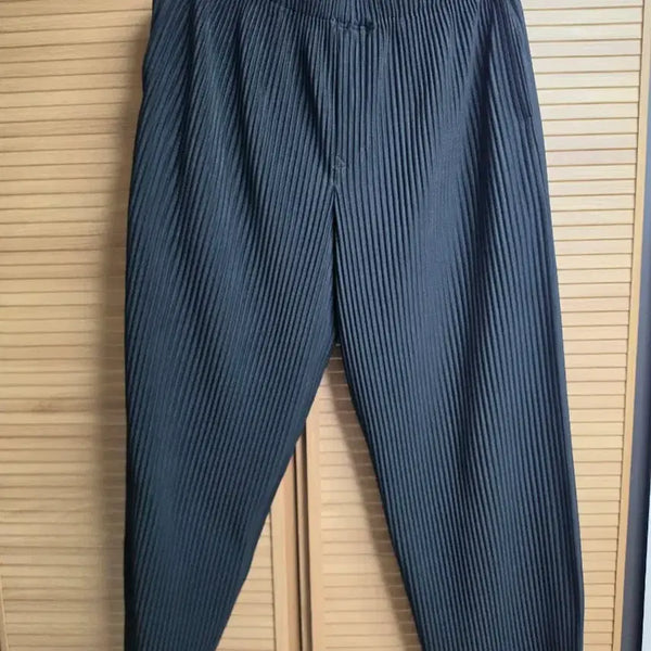 [BUNJANG] Homme Plissé Issey Miyake Relaxed Fit HP4X21M175 Size 3 / 옴므플리세 이세이미야케 루즈핏 HP4X21M175 3Size