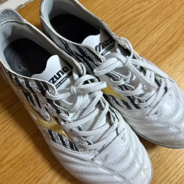 [BUNJANG] Pohang Steelers Football Boots with Wanderson and Oberdan Autographs / 미즈노 축구화 포항스틸러스 완델손, 오베르단 사인 축구화