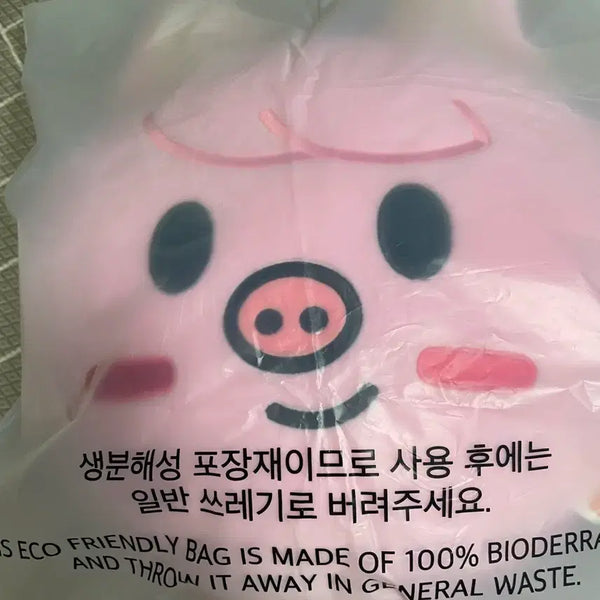 [BUNJANG] Stray Kids SKZOO Baby Cushion Dwaekki / 스트레이키즈 스키주 돼끼 베이비쿠션