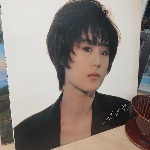 [BUNJANG] Shin Hyo-bum LP Record / 신효범 lp