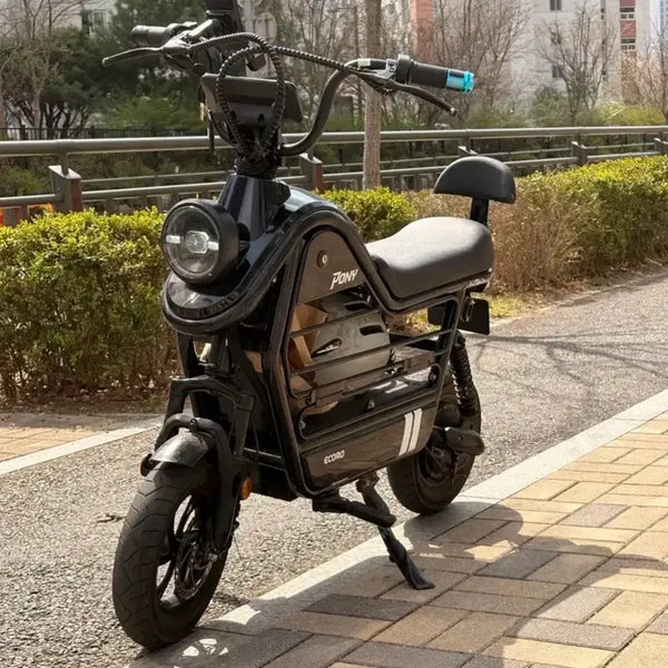 [BUNJANG] AU Tech Eco-R Pony Electric Scooter - For Sale or Trade / AU테크 에코로 포니 자토바이 대차/판매