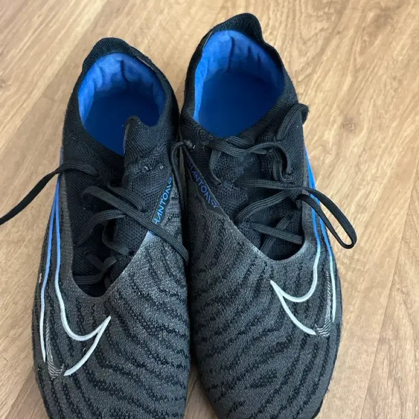 [BUNJANG] Nike Phantom GX Elite FG Cleats (Size 250) / 나이키 팬텀GX 엘리트 250