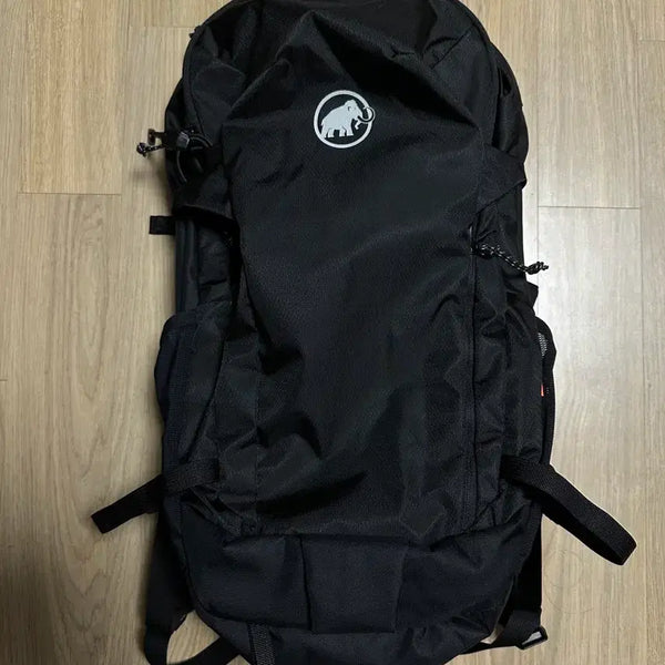[BUNJANG] Mammut Lithium 20 Backpack / Mammut Lithium 20(마무트 리튬20) 백팩