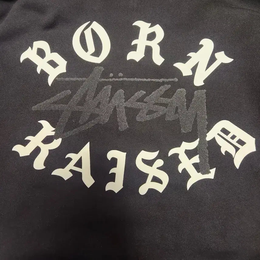 [BUNJANG] Stussy Bone & Raised Zip-Up Hoodie (L) / 스투시 본앤레이즈드 후드집업 L