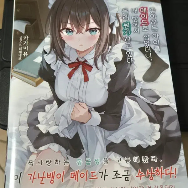 [BUNJANG] My Roommate is a Magical Girl? Light Novel / 라이트노벨 좋아하는 아이를 메이드로 삼음...