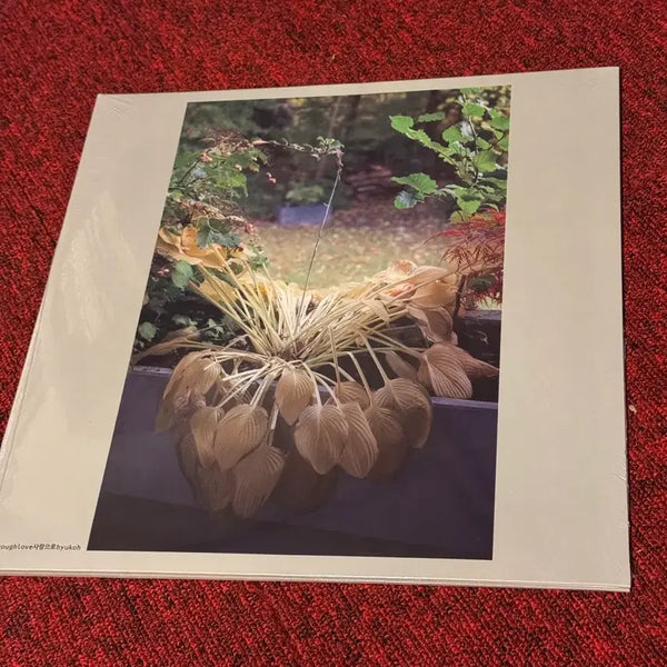[BUNJANG] Hyukoh 'Love Song' LP / [택포5.7]혁오 lp 사랑으로