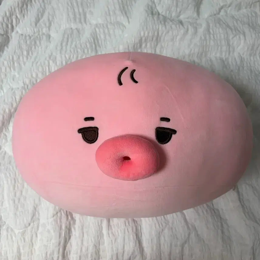 [BUNJANG] The Boyz Sunwoo Wang Ttto Cushion / 더보이즈 선우 왕떤코 쿠션