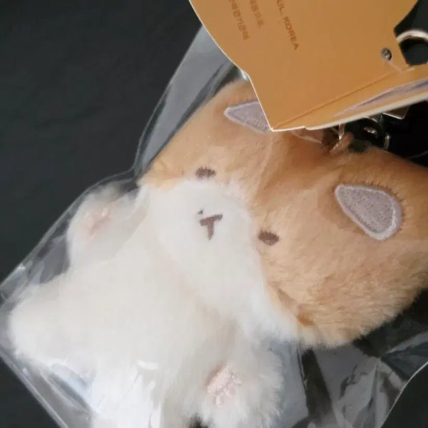 [BUNJANG] Baekhyun "Lost My Way" Plush Keychain / 백현 터래기 제발 잃어버리지마 키링