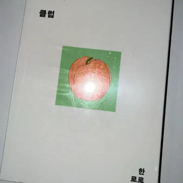 [BUNJANG] Hanroro Jamongsalgu Club First Edition Unsealed Book + Bookmark / 한로로 자몽살구클럽 초판 1쇄 미개봉 + 책갈피