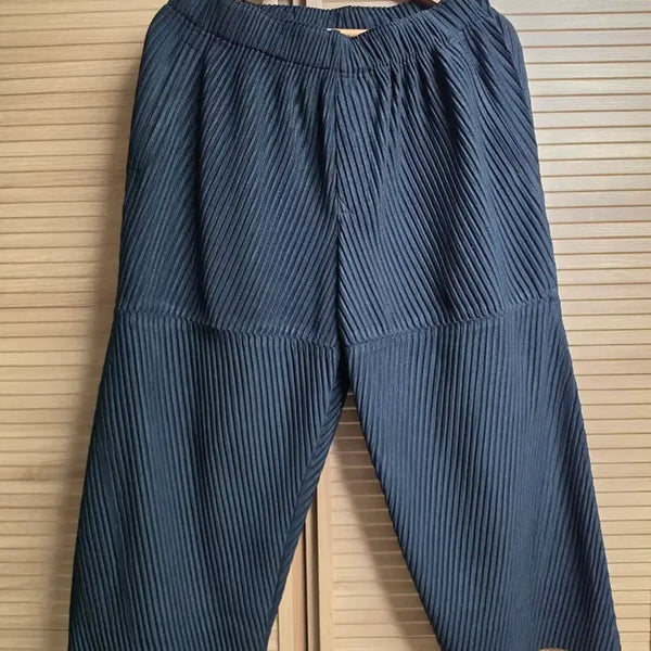 [BUNJANG] Homme Plissé Issey Miyake HP3721S045 Pants Size 3 / 옴므플리세 이세이미야케 HP3721S045 3Size