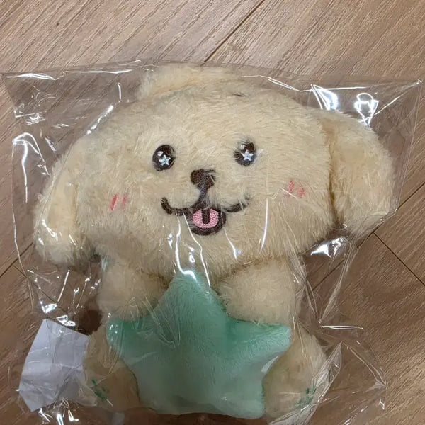 [BUNJANG] NCT WISH Jaehee Star Wish Doll Bundle Set / 별 위시돌 스타 위시돌 댕트리버 엔시티위시 재희