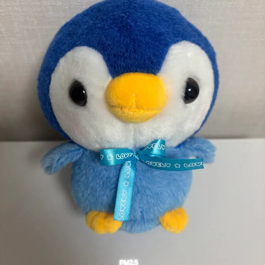 [BUNJANG] VERIVERY Kangmin Penguin Plush Doll Bopul 2 / 베리베리 유강민 강민 송도 인형 펭귄 보플2