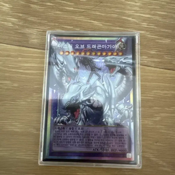 [BUNJANG] Master of Dragon Magia Overboost / 마스터 오브 드래곤 마기아 오버프싴