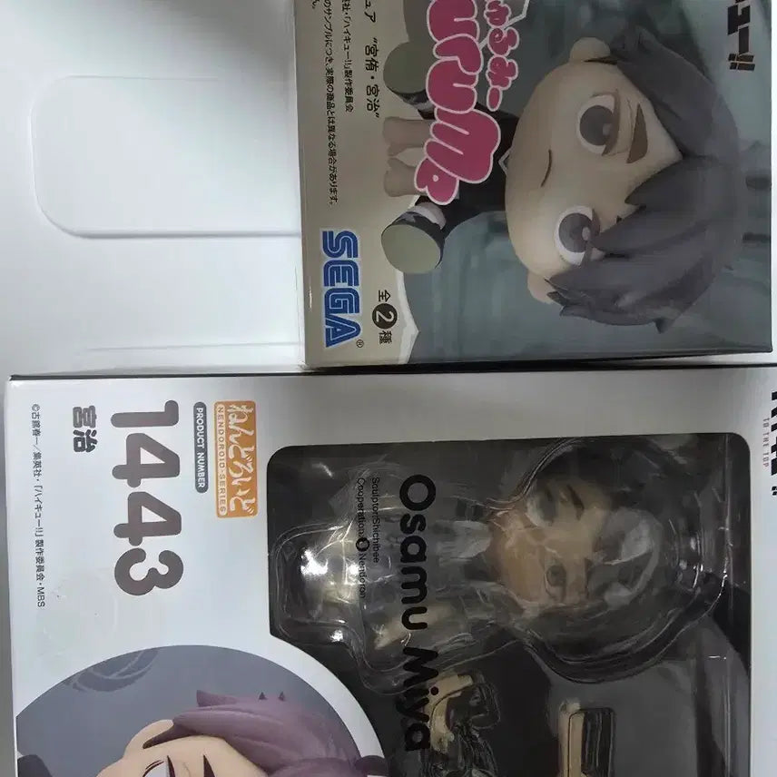 [BUNJANG] Haikyuu!! Osamu Miya Nendoroid & Kurumi Plush Set / 하이큐 오사무 큐루미, 넨도