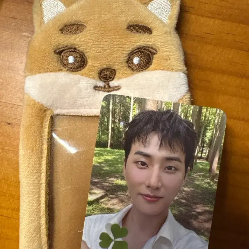 [BUNJANG] DAY6 Young K Clover Photocard Holder Set / 데이식스 영케이 클로버 포카 케 홀더 세트