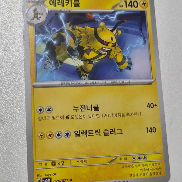 [BUNJANG] Pokemon Card Collection / 포켓몬 카드 모음집2