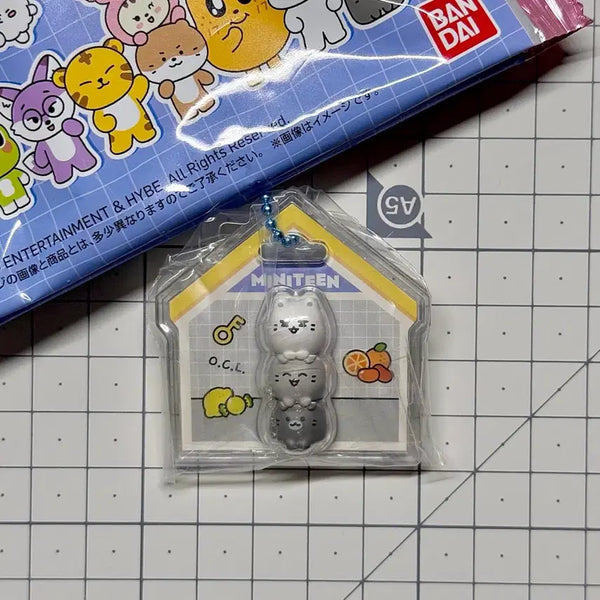 [BUNJANG] SEVENTEEN Mini Tin Charm Package Set [Open] - Character Confirmation Only / [현물] 미니틴 참 패키지참 식완 키링/열닫잠