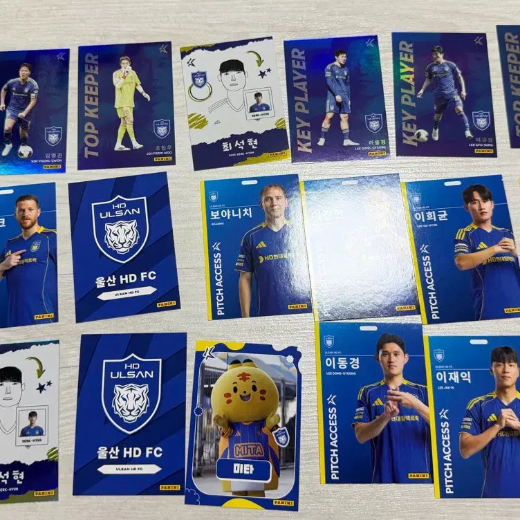 [BUNJANG] 2026 K League Panini Ulsan HD Bundle Set / 2026 k리그 파니니 울산 HD 일괄