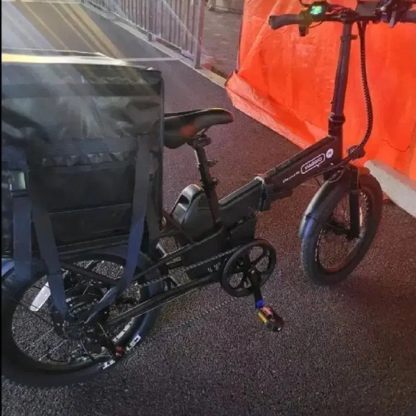 [BUNJANG] Viaio V6 Electric Scooter / 비아지오 V6