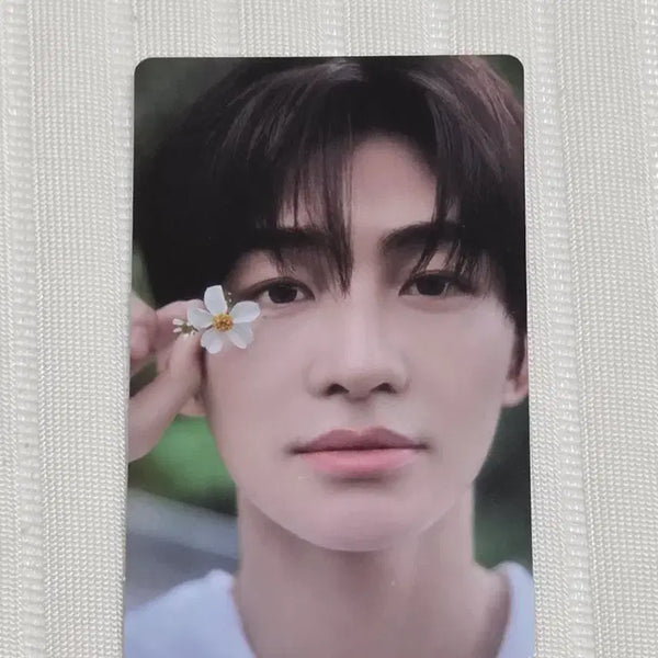 [BUNJANG] TWS Jihoon Hajimemashite Weverse POB / tws 투어스 지훈 하지메마시떼 위버스 특전