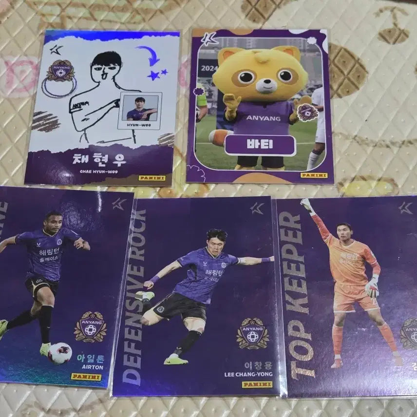 [BUNJANG] FC Anyang Player Photocard Bundle Set / FC안양 채현우 바티 아일톤 이창용 김정훈 일괄판매
