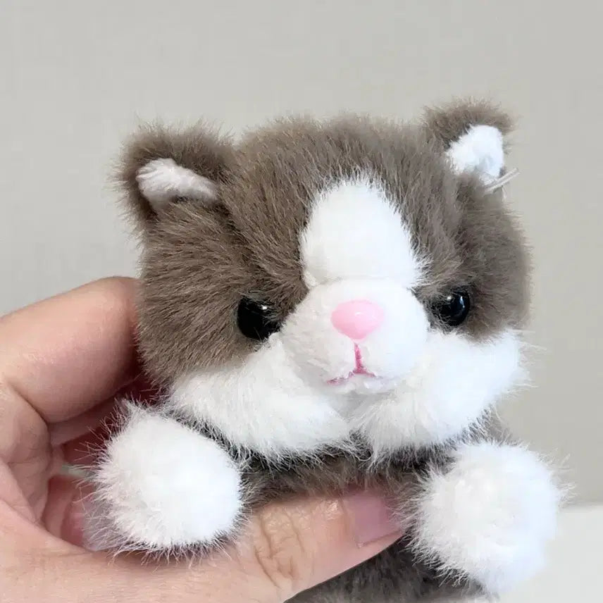 [BUNJANG] Scented Cat Plush Keychain / 향기나는 고양이 인형 키링