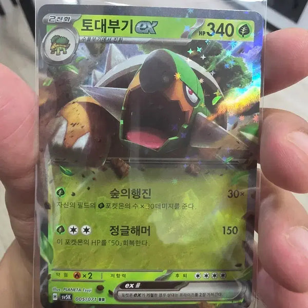[BUNJANG] Torterra EX RR 005/071 / 토대부기 EX RR