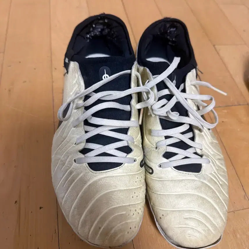 [BUNJANG] Nike Tiempo Legend 10 Elite Futsal Shoes / 나이키 티엠포 레전드 10 엘리트 285 풋살화