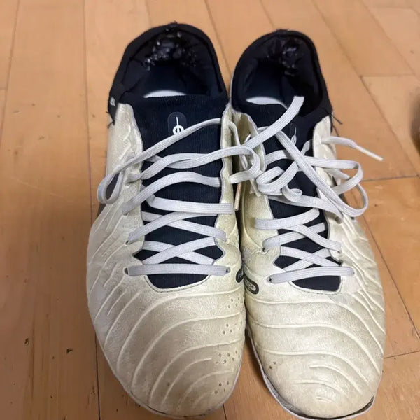 [BUNJANG] Nike Tiempo Legend 10 Elite Futsal Shoes / 나이키 티엠포 레전드 10 엘리트 285 풋살화