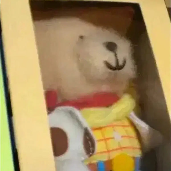 [BUNJANG] Starbucks Toy Story Woody Keyring / 스타벅스 토이스토리 우디 키링 새제품